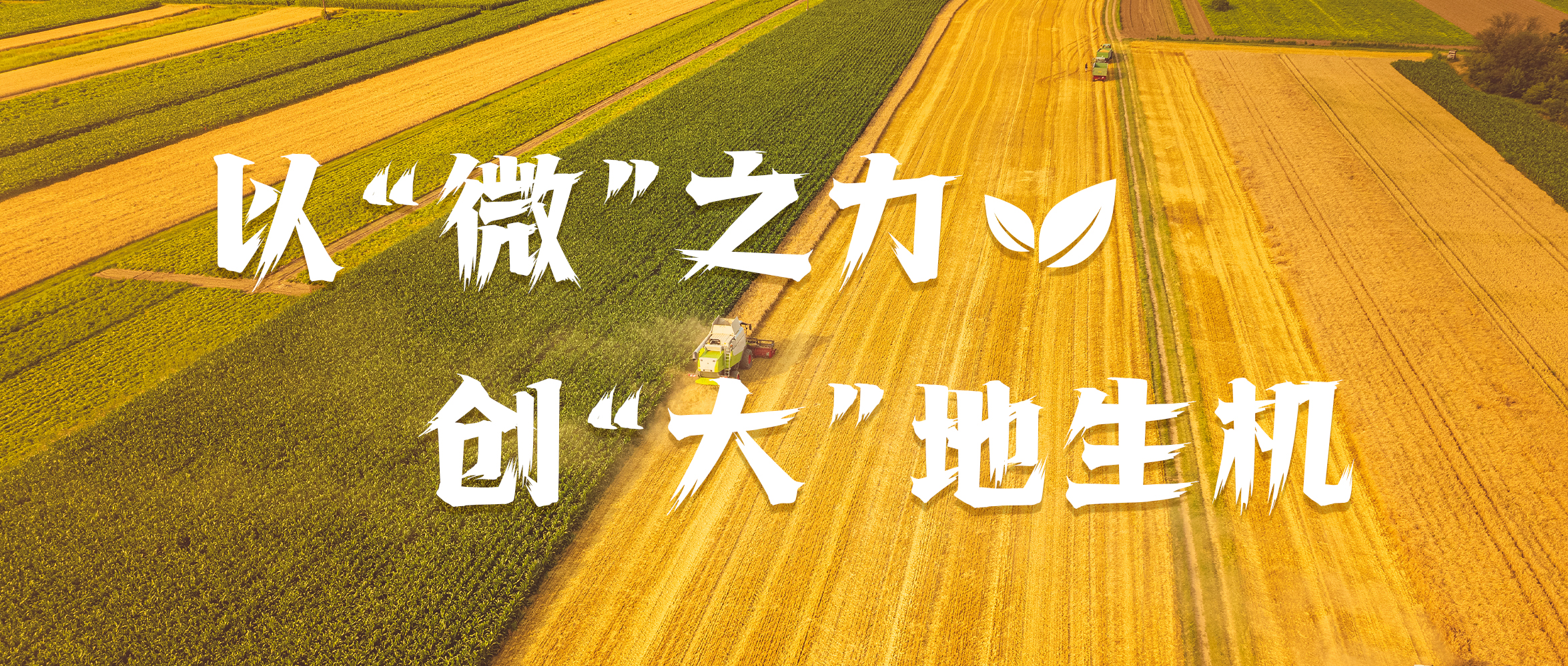 &#24320;&#20113;&#23448;&#26041;&#32593;&#39029;&#29256;&#45;&#24320;&#20113;&#65288;&#20013;&#22269;&#65289;